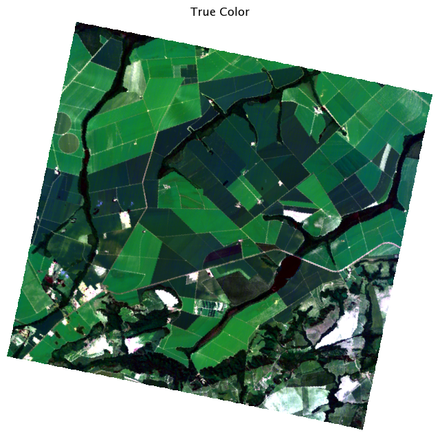 <Figure size 800x800 with 1 Axes>