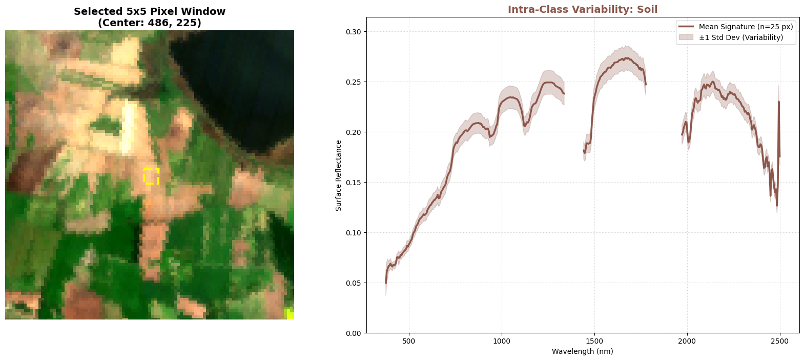 <Figure size 2000x800 with 2 Axes>