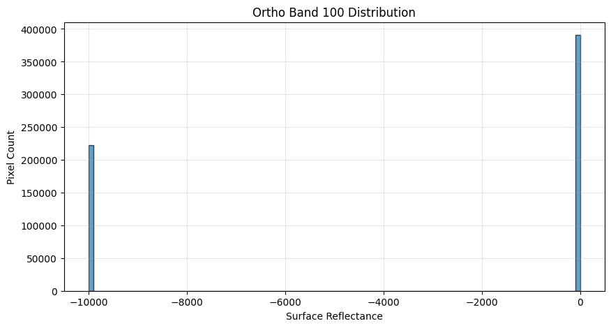 <Figure size 1000x500 with 1 Axes>