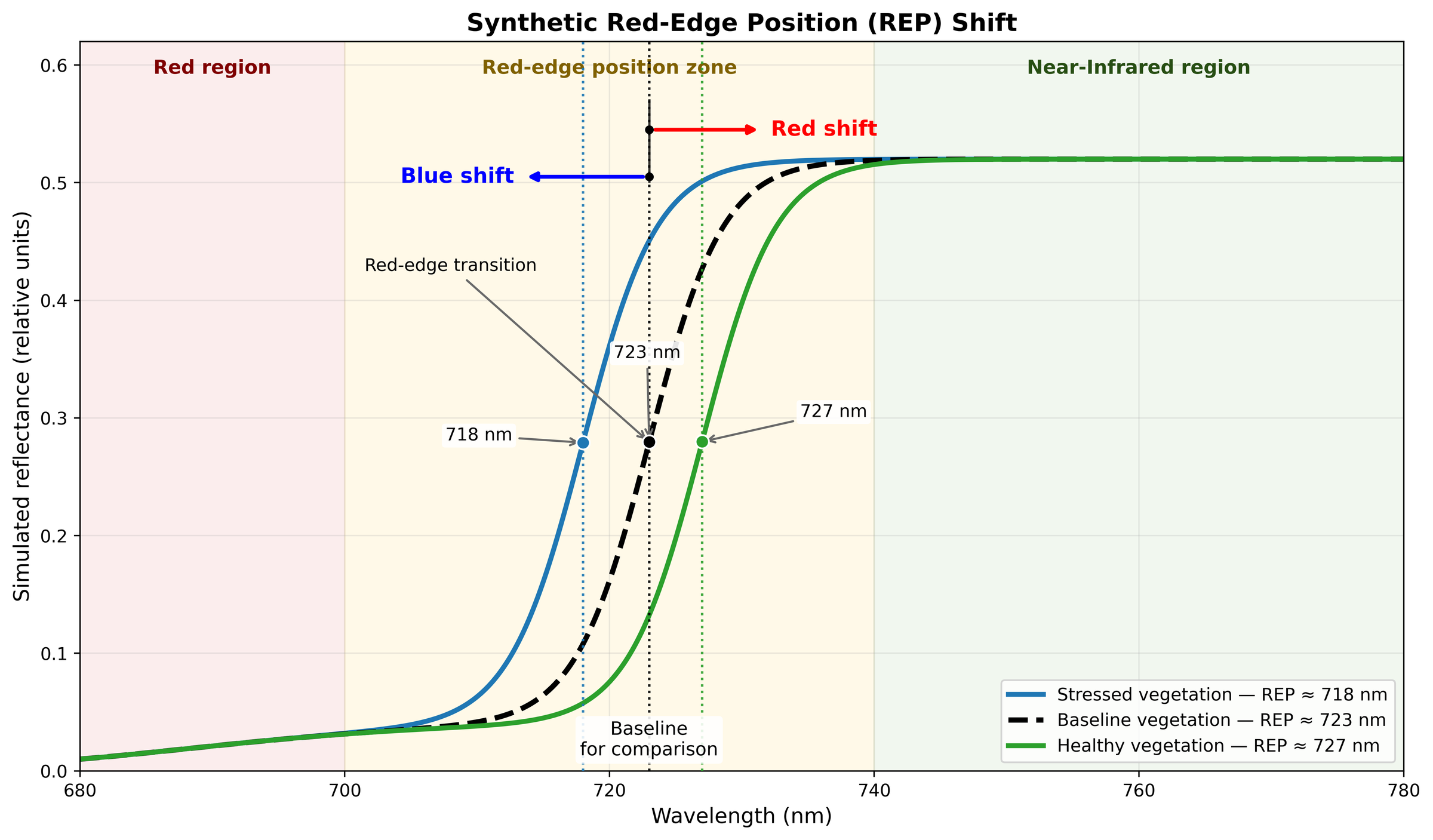 Conceptual illustration of Red-Edge Position (REP) shifts relative to a baseline condition