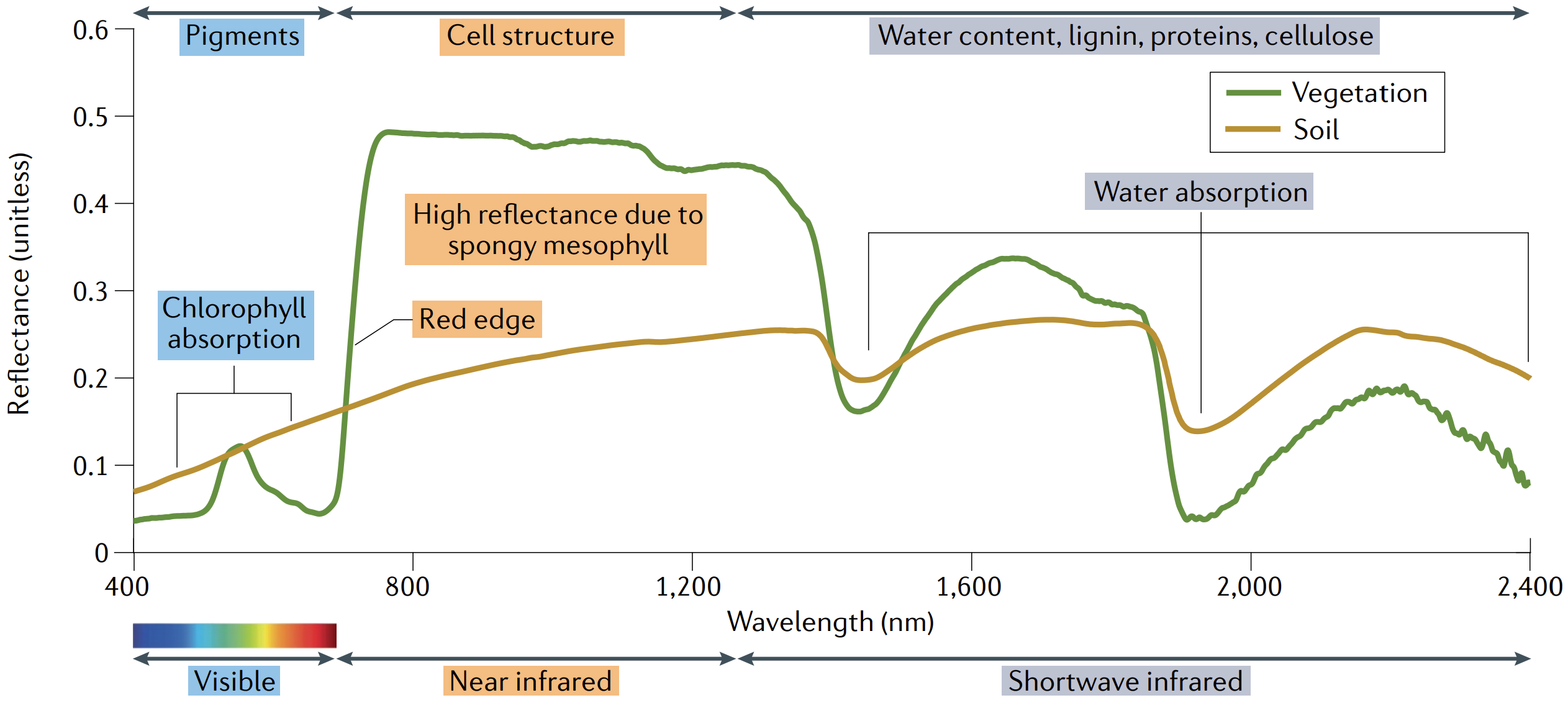 spectral signature of healthy vegetation compared
